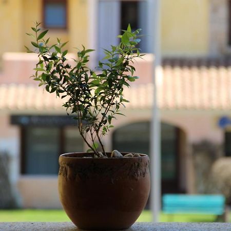 Appartamento Le Vele Porto San Paolo  Eksteriør billede